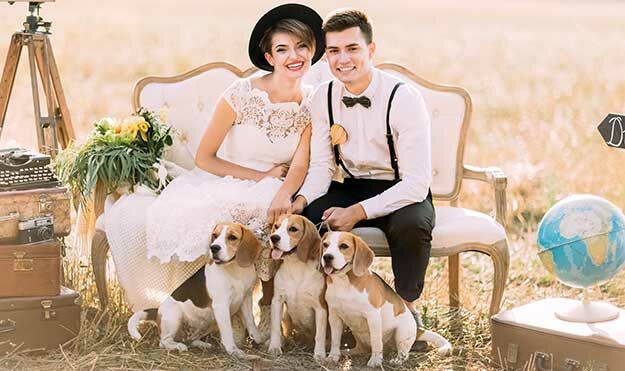 Hund zur Hochzeit