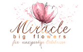 Miracle Big Flowers