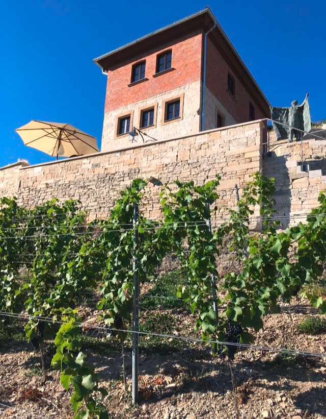 Weinberg Dr Gabert Im Schweigenberg Mein Hochzeits Ratgeber 